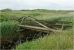 Holzbr&uuml;cke in den D&uuml;nen