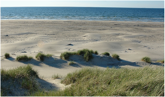 D&uuml;nen an der d&auml;nischen Nordseek&uuml;ste