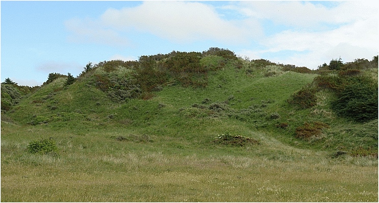 D&uuml;nen in D&auml;nemark