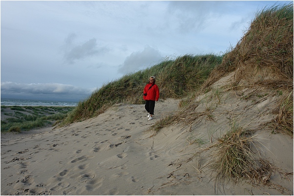 D&auml;nemarkfan Edelgard in den D&uuml;nen an der Nordseek&uuml;ste