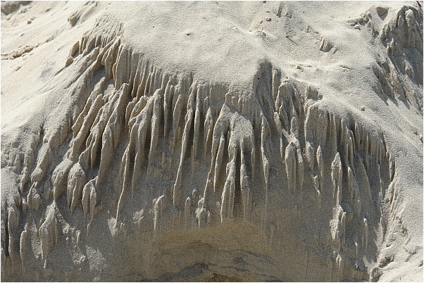 Der Wind formt die D&uuml;nen an D&auml;nemarks Nordseek&uuml;ste