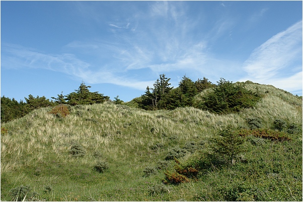 D&uuml;nen an der d&auml;nischen Norseek&uuml;ste