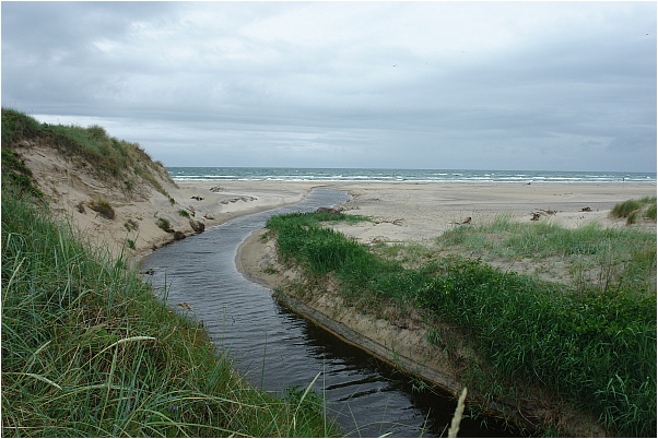 Flu&szlig; durch die d&auml;nischen d&uuml;nen zur Nordsee