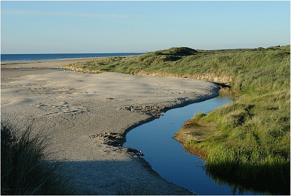 Fl&uuml;sse in D&auml;nemarks D&uuml;nen